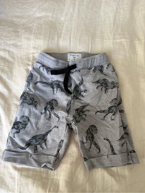 Sovereign Code Gray Boys Knit Shorts with Drawstring